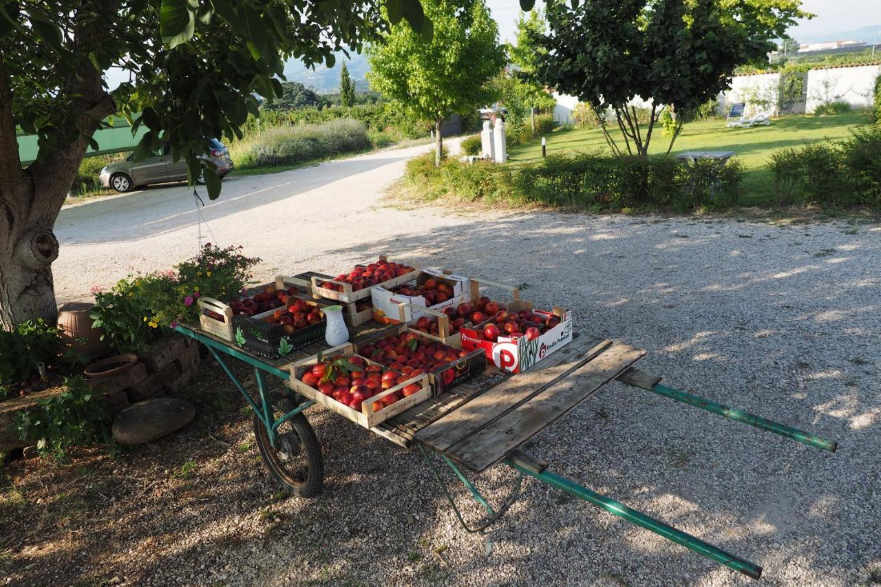 Agriturismo Fior Di Maggio Villa Pescantina Exterior photo