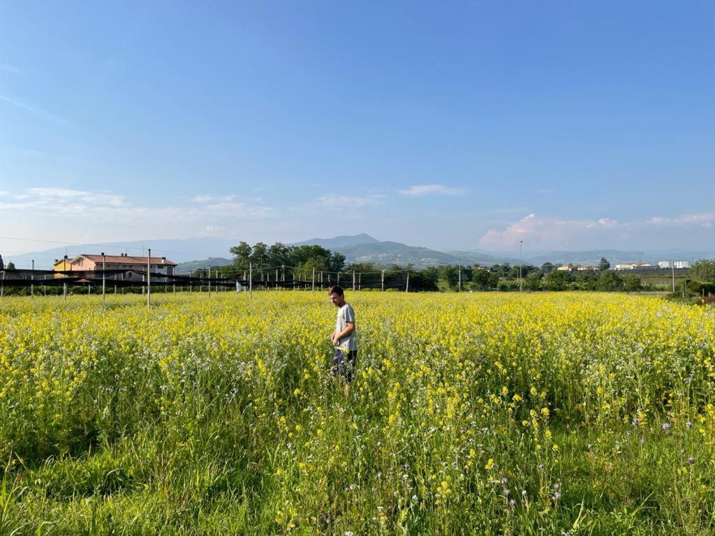 Agriturismo Fior Di Maggio Villa Pescantina Exterior photo