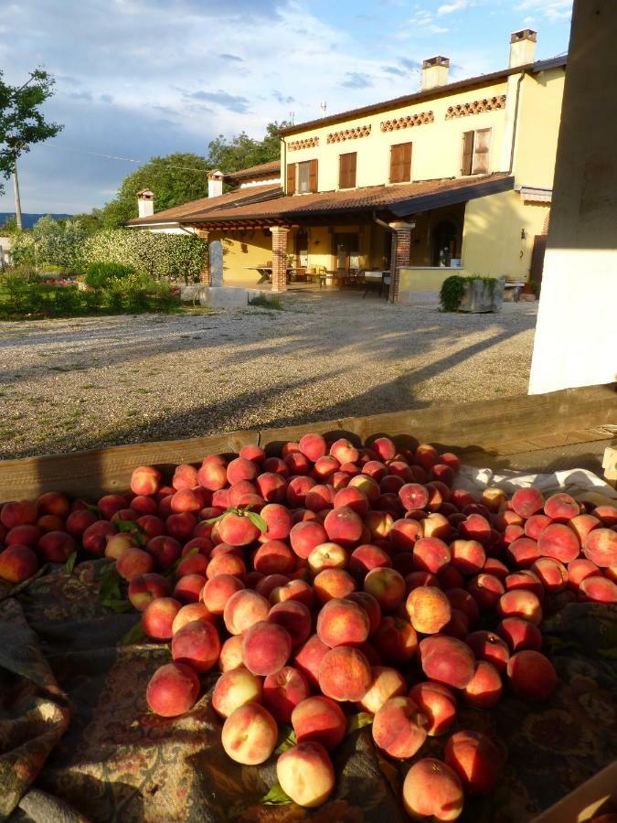 Agriturismo Fior Di Maggio Villa Pescantina Exterior photo